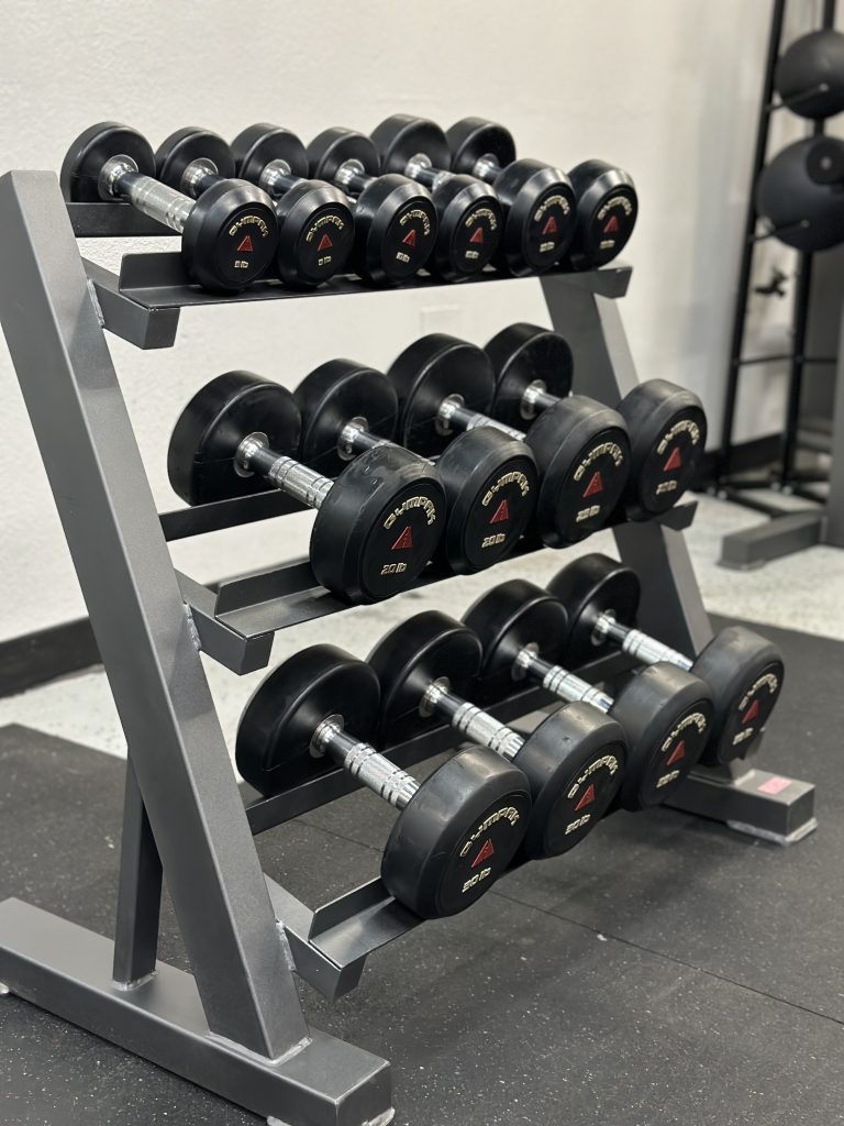 3-Tier Dumbbell Rack - Pure Steel
